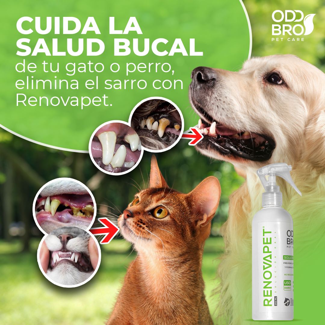 Pague 2 Renovapet Oral y Lleve GRATIS 1 Espuma limpiadora y desinfectante para patas de perros y gatos petypup