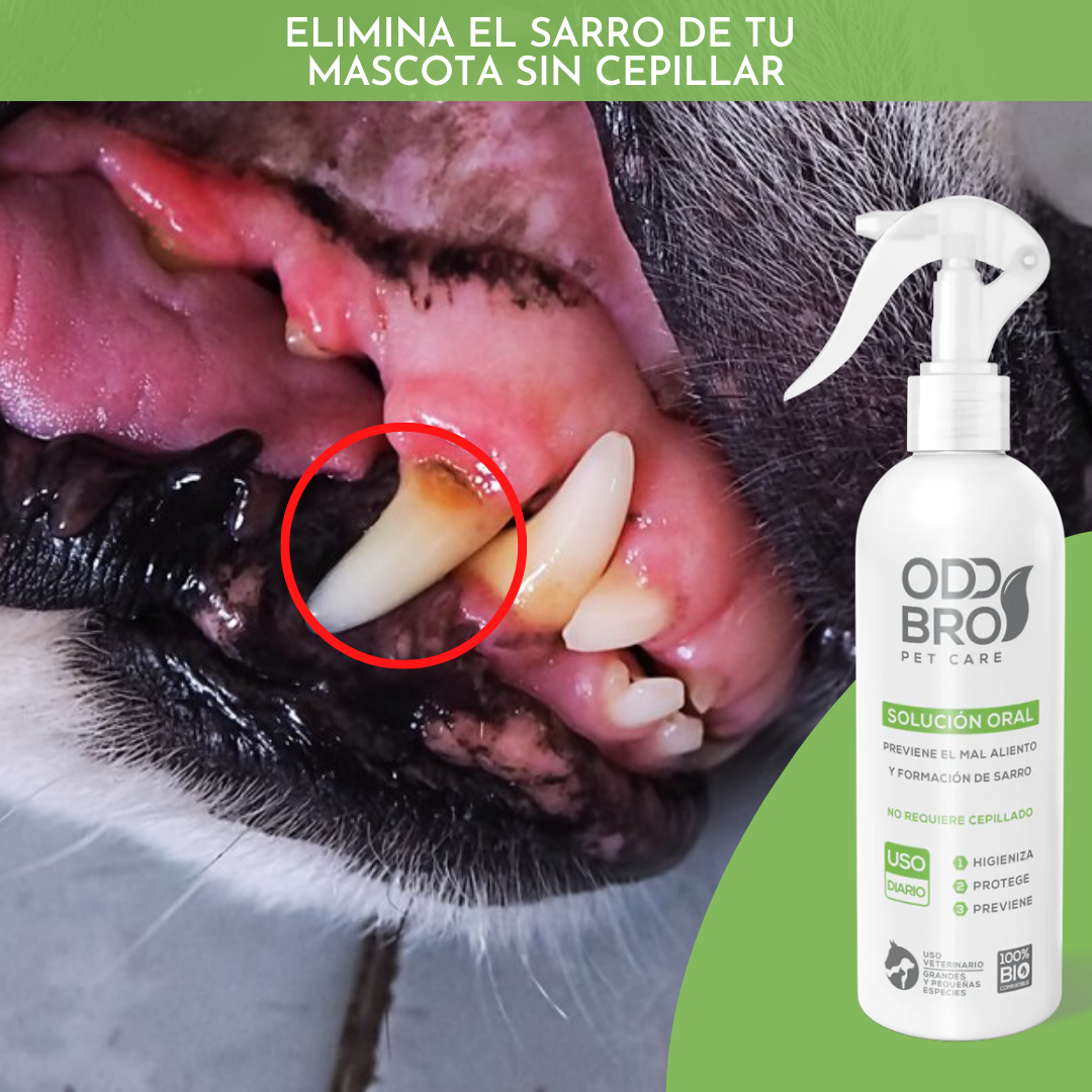 🐾RENOVAPET Adiós Al Sarro + ÖCUPET Adiós A Las Manchas De Los Ojos Para Mascotas 🐶👀