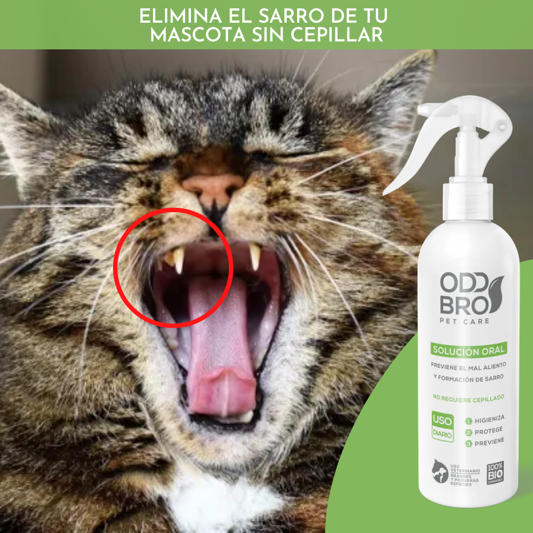 🐾RENOVAPET Adiós Al Sarro + ÖCUPET Adiós A Las Manchas De Los Ojos Para Mascotas 🐶👀