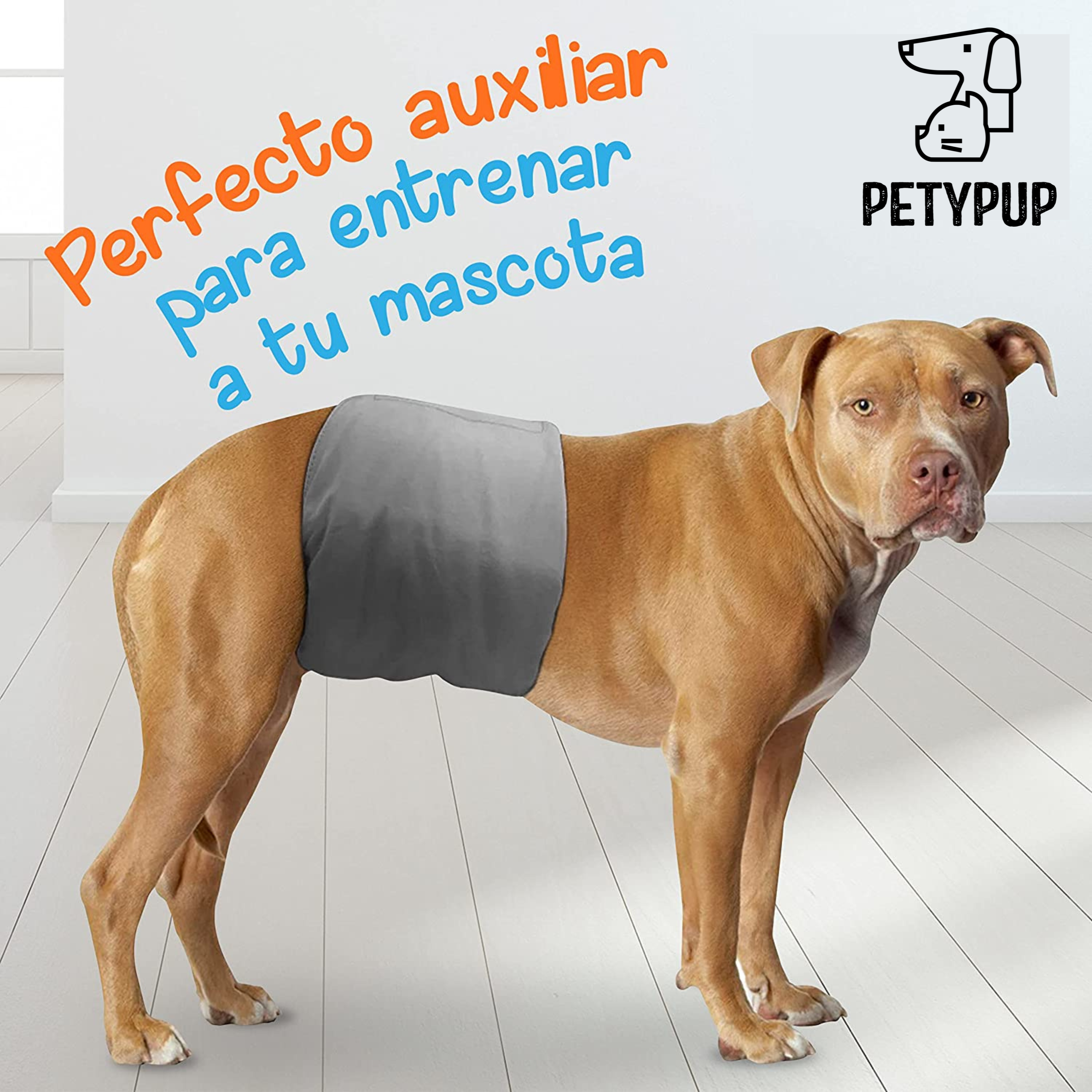🐾 Pañal Ecológico, Lavable y Reutilizable Para Perros Machos 🦮🐕‍🦺 –  PetyPup México